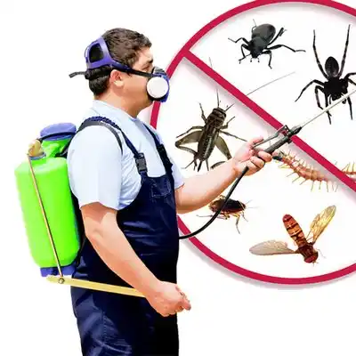 pest control Union Star